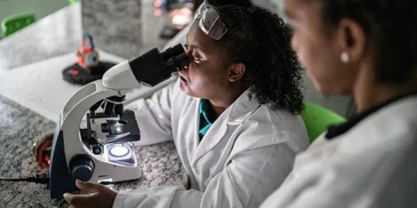 Students working in a laboratory. Getty Images